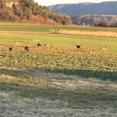 Ubytování v soukromí Feierabend